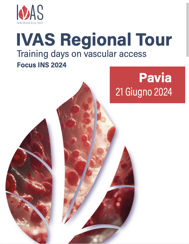 IVAS Regional Tour - Pavia