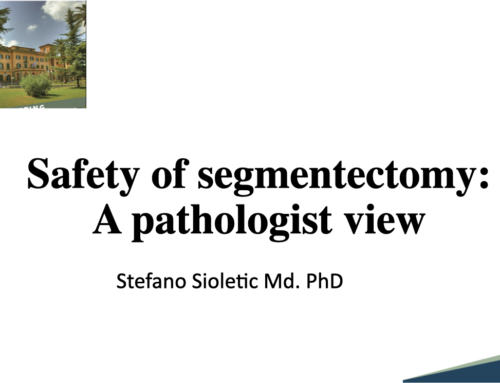 Safety of segmentectomy:A pathologist view